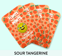 Load image into Gallery viewer, Flintt Mints Multiple Flavors