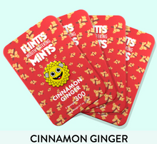 Load image into Gallery viewer, Flintt Mints Multiple Flavors