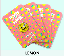 Load image into Gallery viewer, Flintt Mints Multiple Flavors