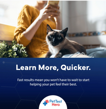 Load image into Gallery viewer, STD Hero Pet Sensitivity test kit