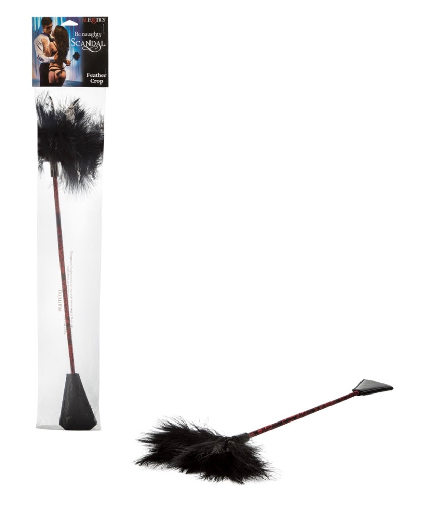 Scandal Feather Crop