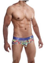 Load image into Gallery viewer, Hipster Brief - FunHipster Brief - Fun
