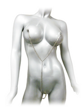 Load image into Gallery viewer, Master Series Anais Y-Style Nipple To Clit Set
