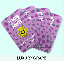 Load image into Gallery viewer, Flintt Mints Multiple Flavors
