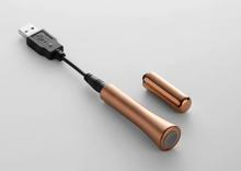 Load image into Gallery viewer, Crave Wink + Bedside Vibrator
